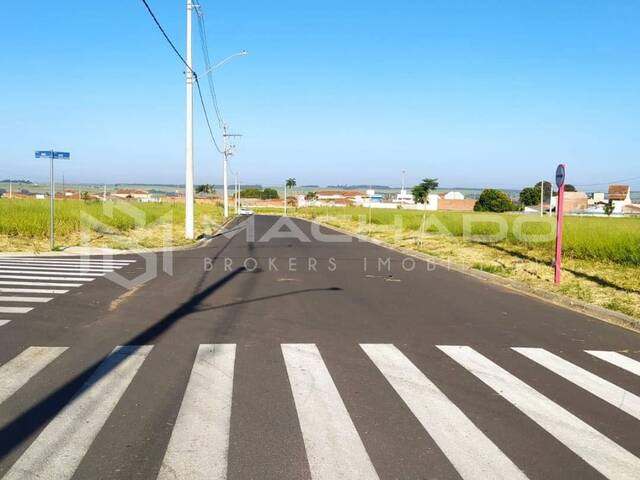 #115 - Terreno para Venda em São Carlos - SP - 2